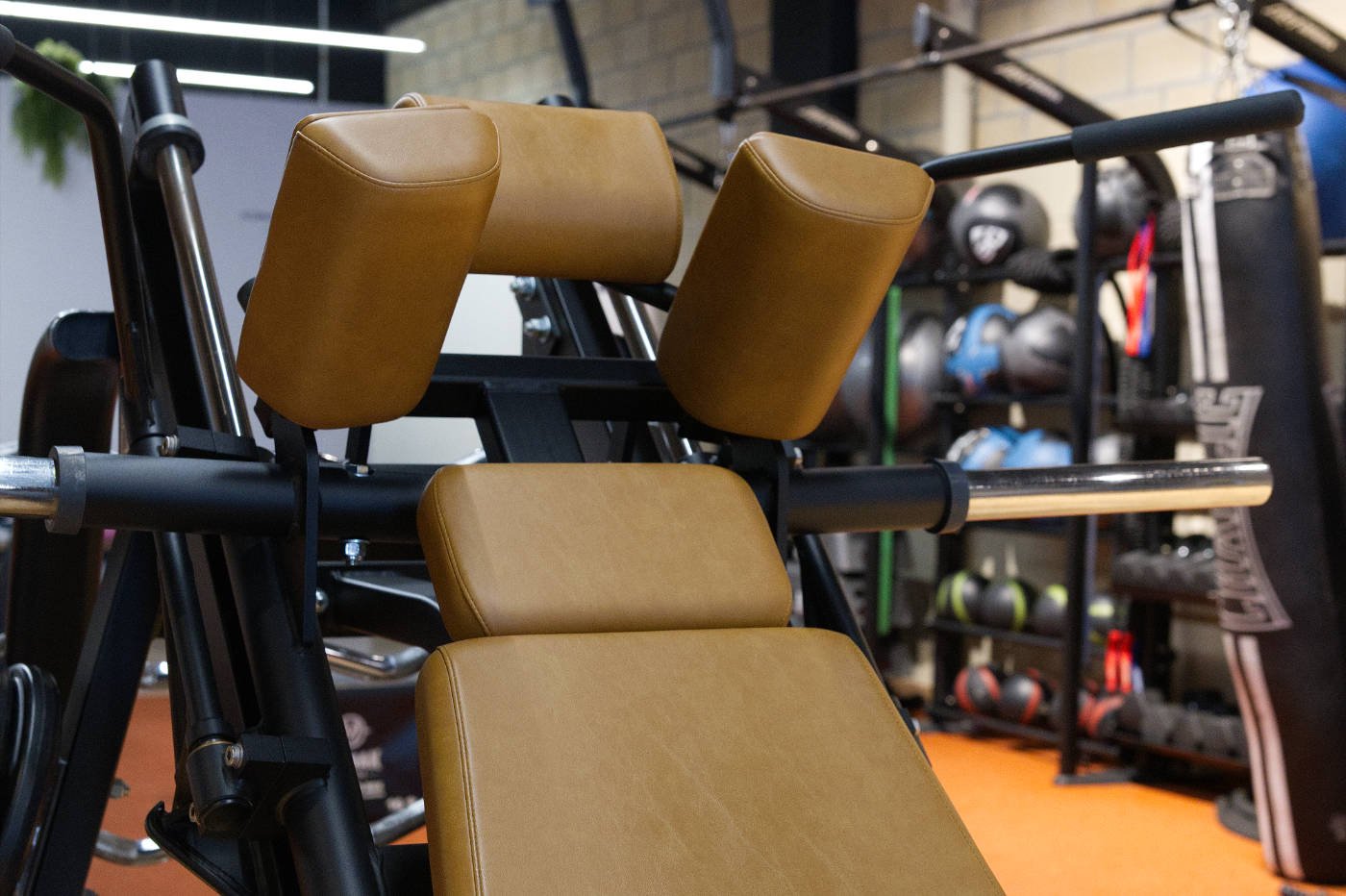 Instalaciones de musculación